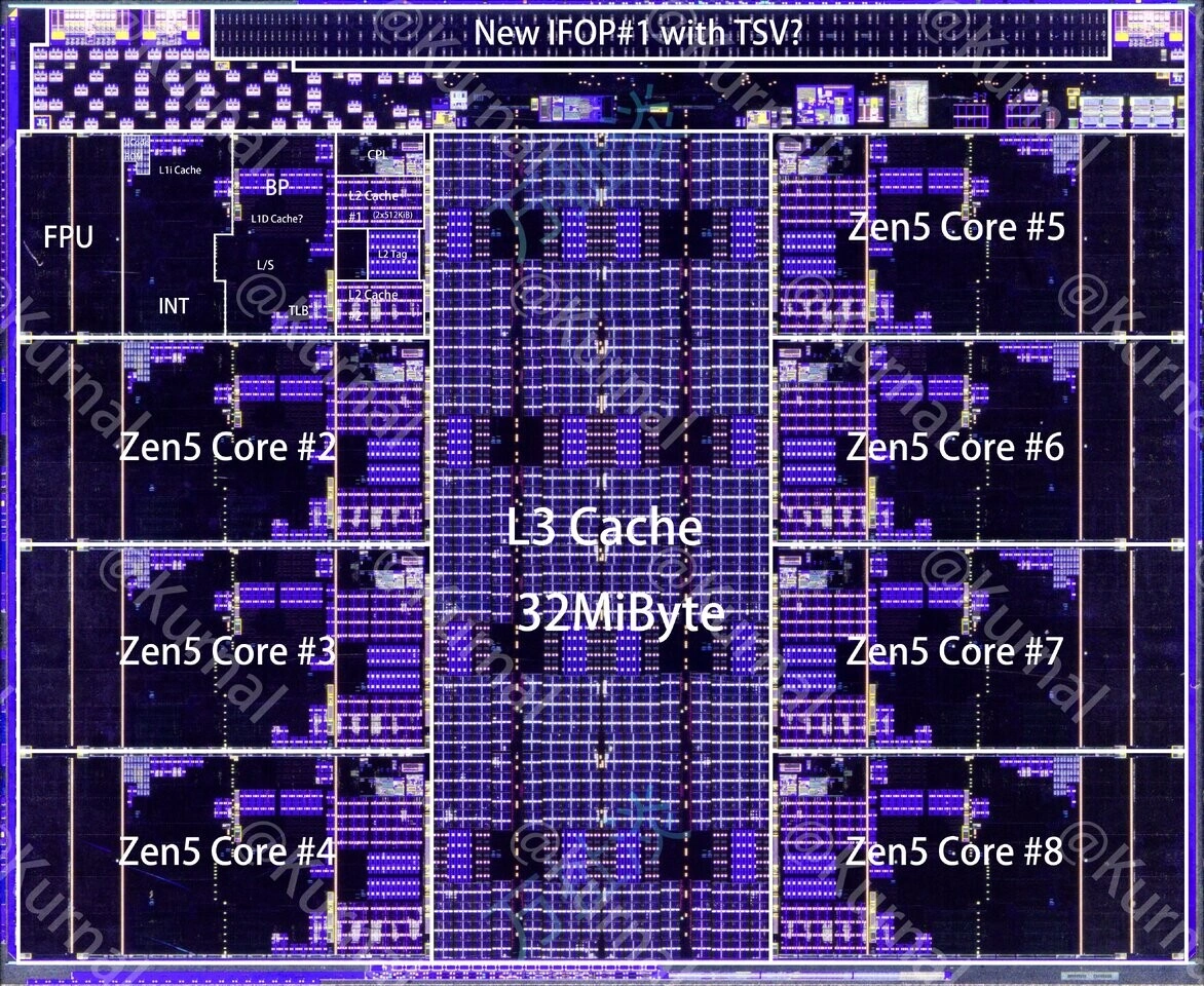 Ryzen Ai Maxplus 395 Diagramme Ccd