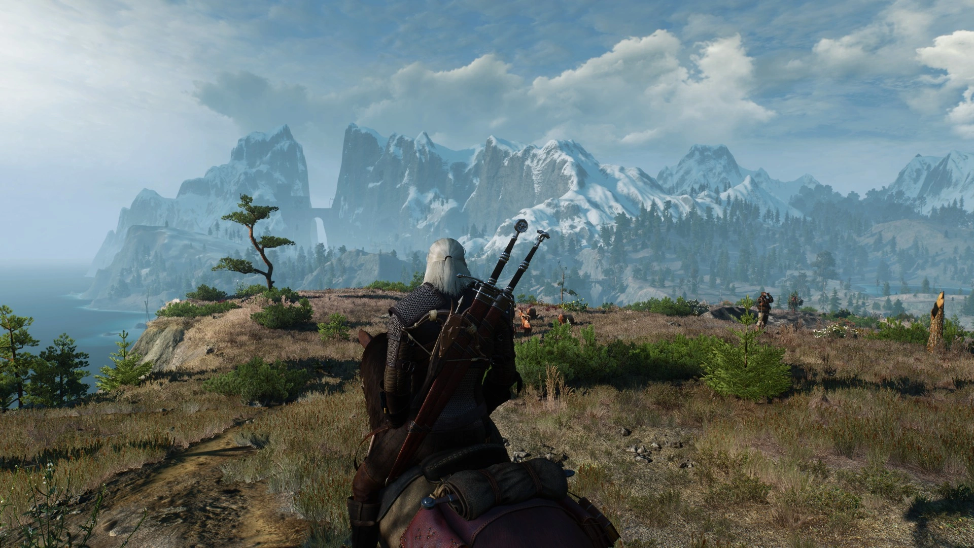 The Witcher 3 Paysage