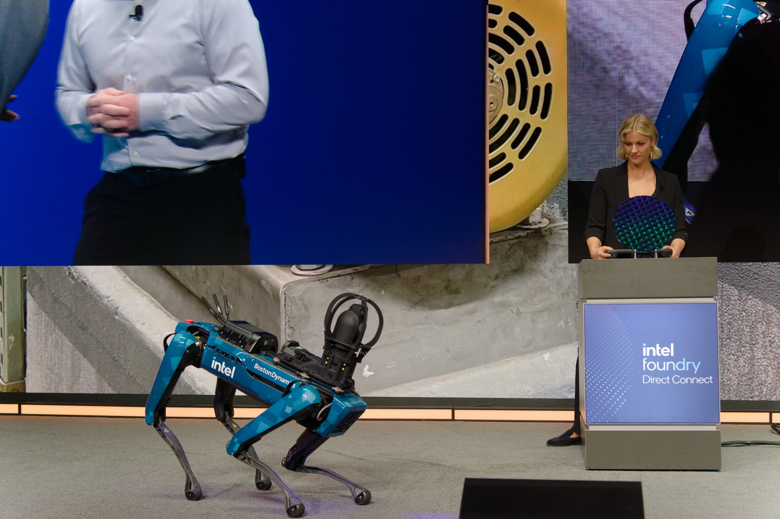 Intel Chip Dog Hello