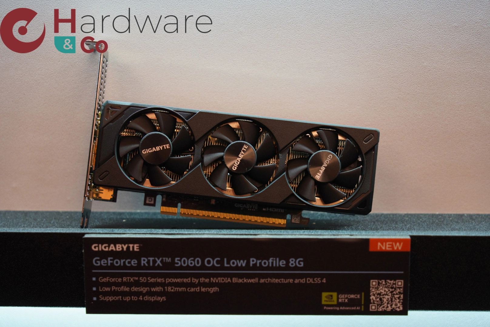 Gigabyte Rtx5060 Oc Lp
