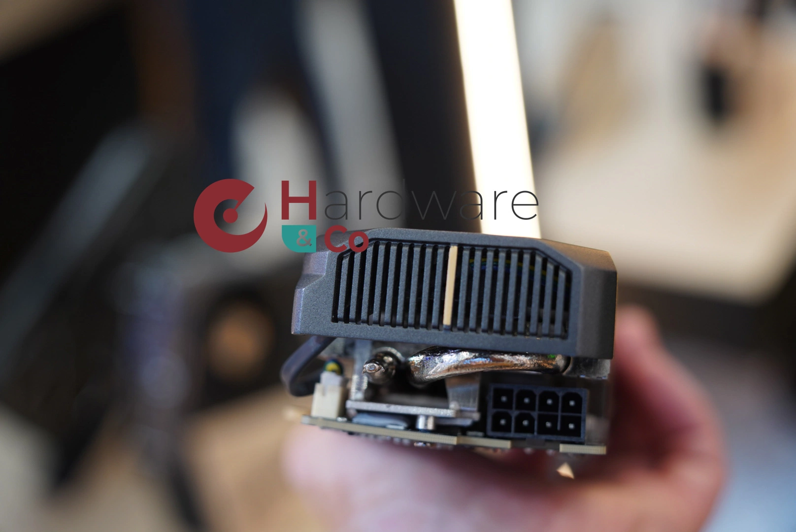 Zotac Rtx5060 Lp 8pins
