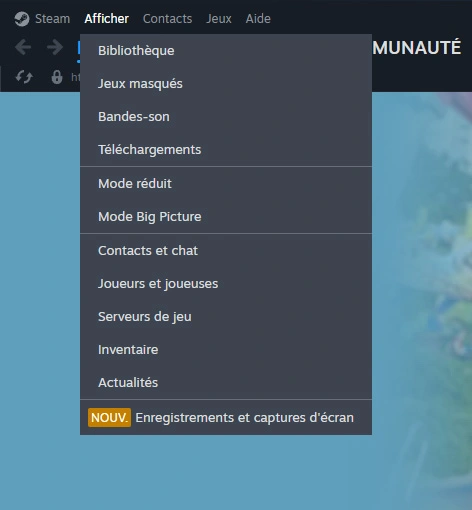 Steam Menu Enregistrement