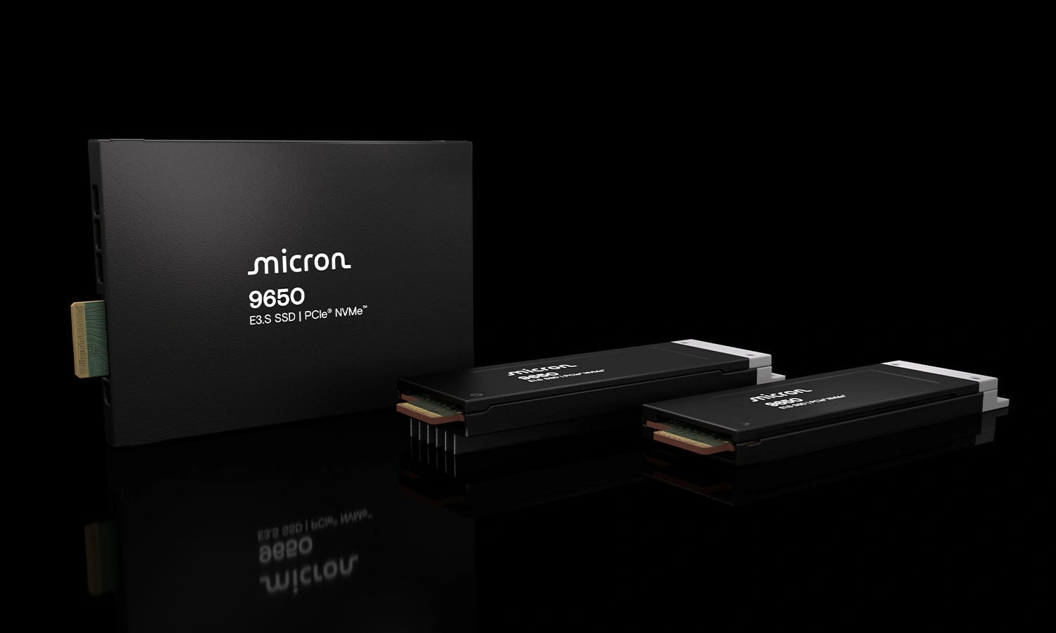 Micron 9650 Famille