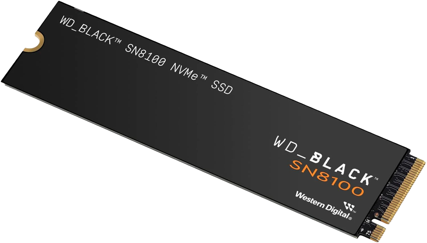 Wd Black Sn8100