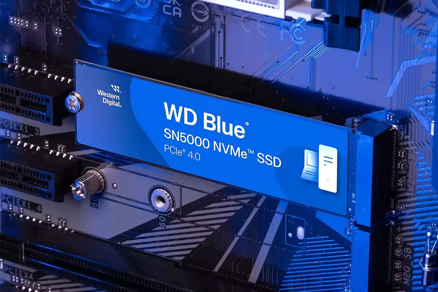 Wd Blue Sn5000