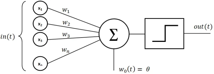 Single Neuron