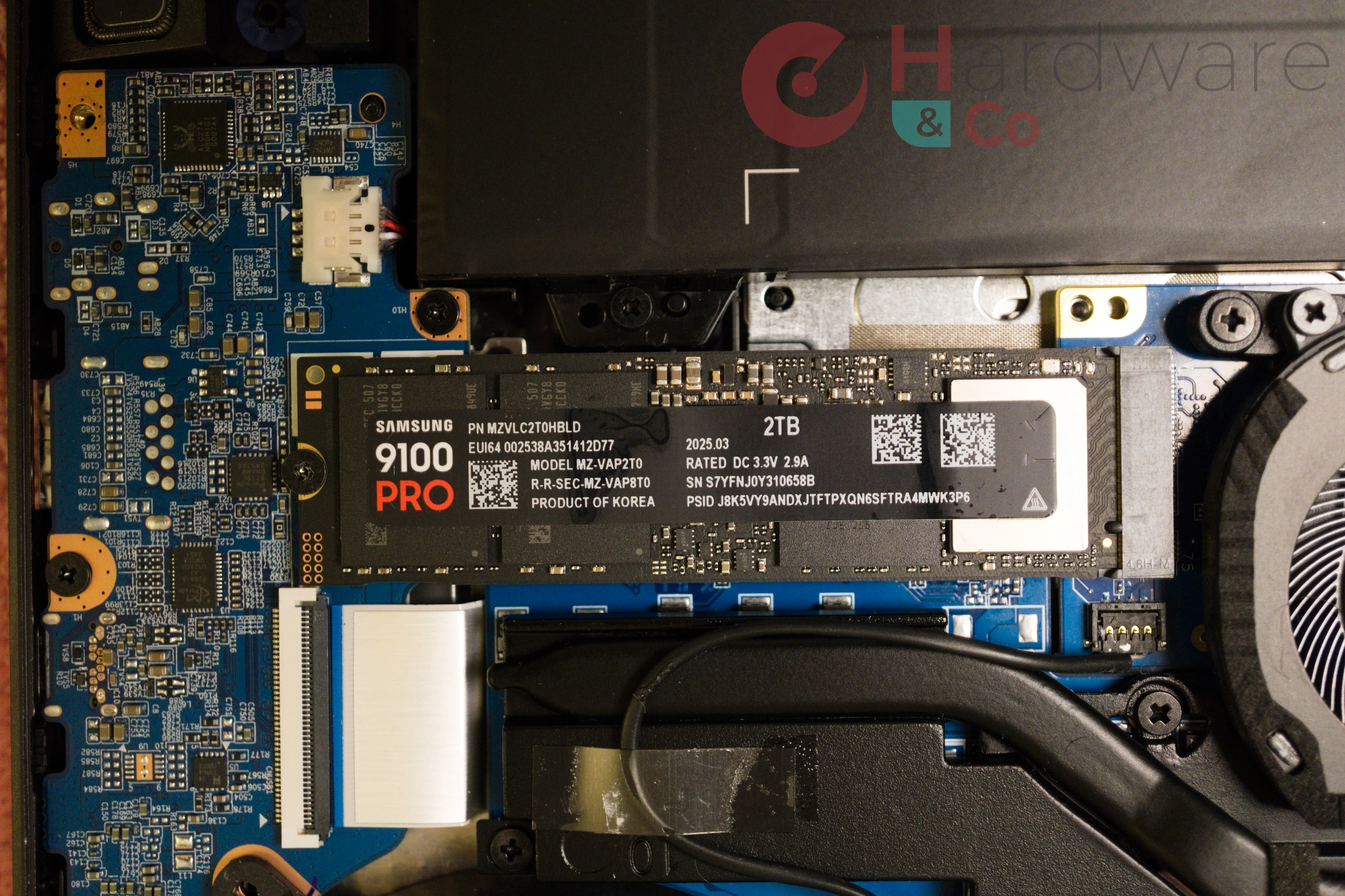 SSD Principal