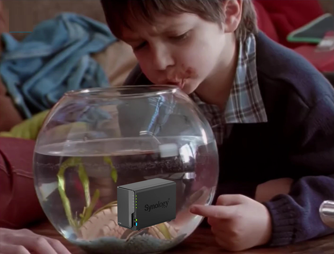 Maurice Bouchon Synology