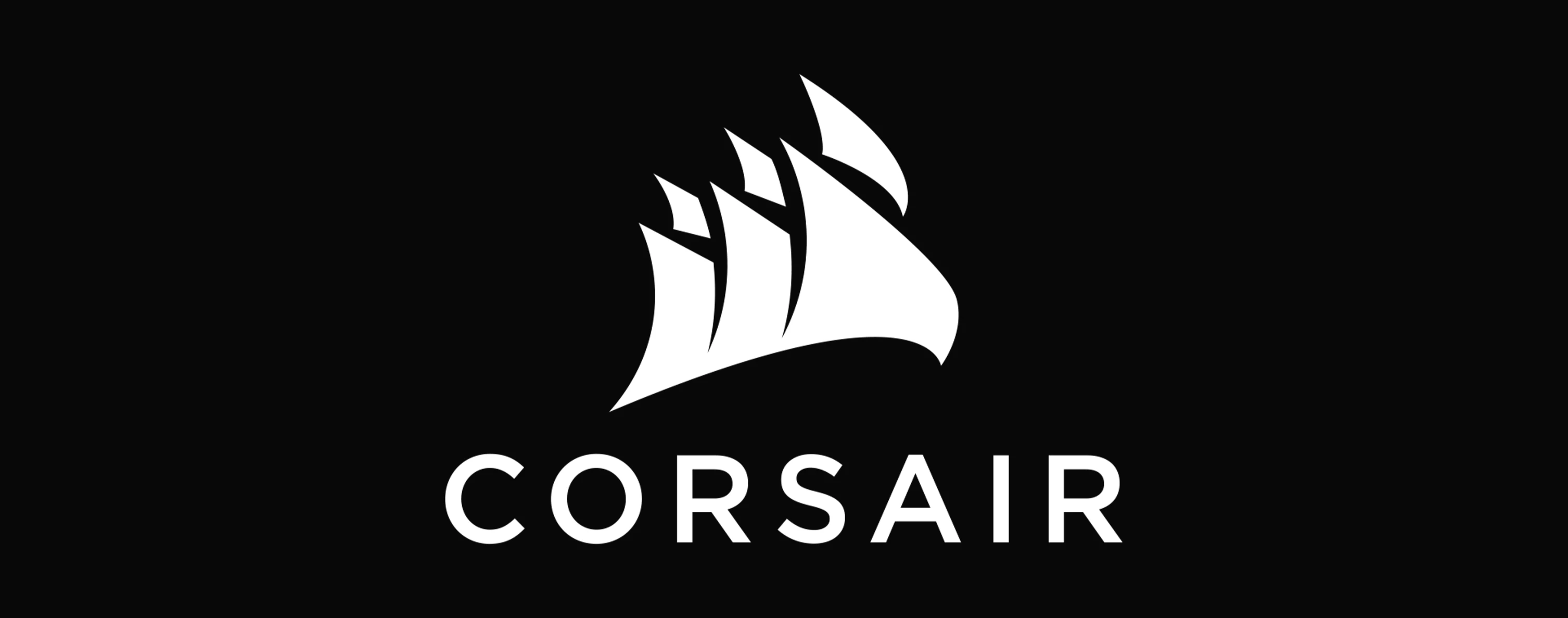 Corsair Logo 2024