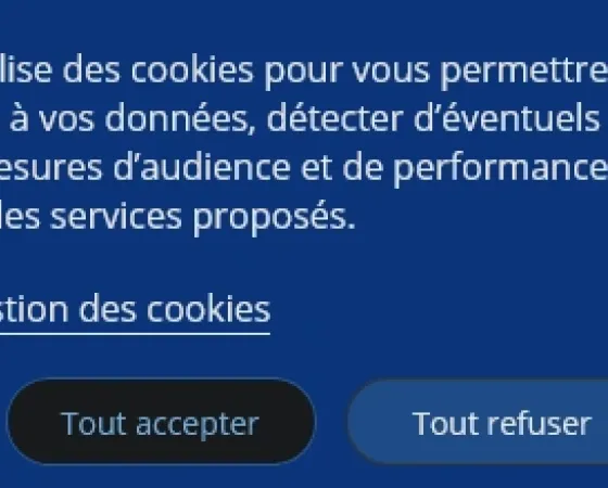 Banniere Cookies Ameli Thumb