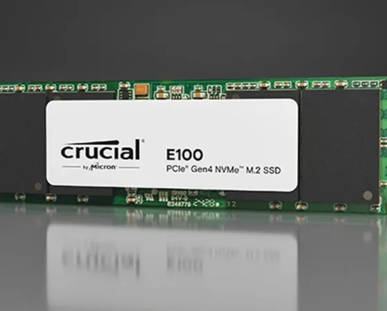 Crucial E100 Thumb