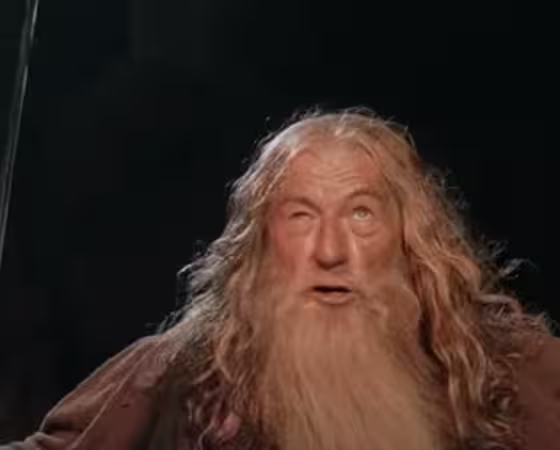 /images/thumb/gandalf-passerez-pas_thumb.avif