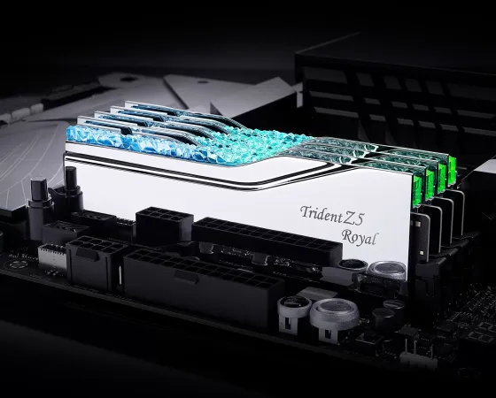 Gskill Ddr5 Trident Z5 Royale Argent 2 Thumb