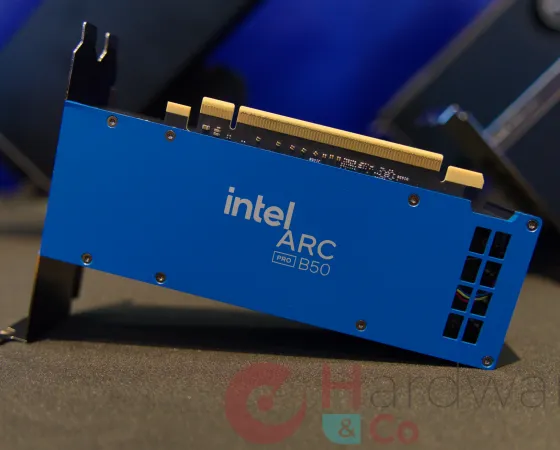 Intel Arc Pro B50 Thumb