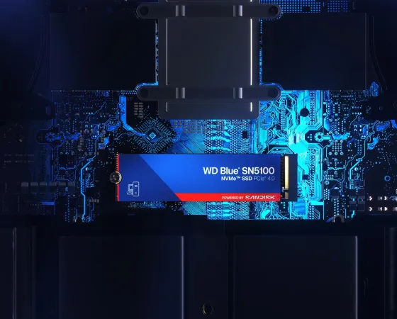 Sandisk Wd Blue Sn5100 Thumb