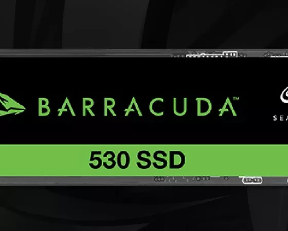Seagate Barracuda 530 Thumb